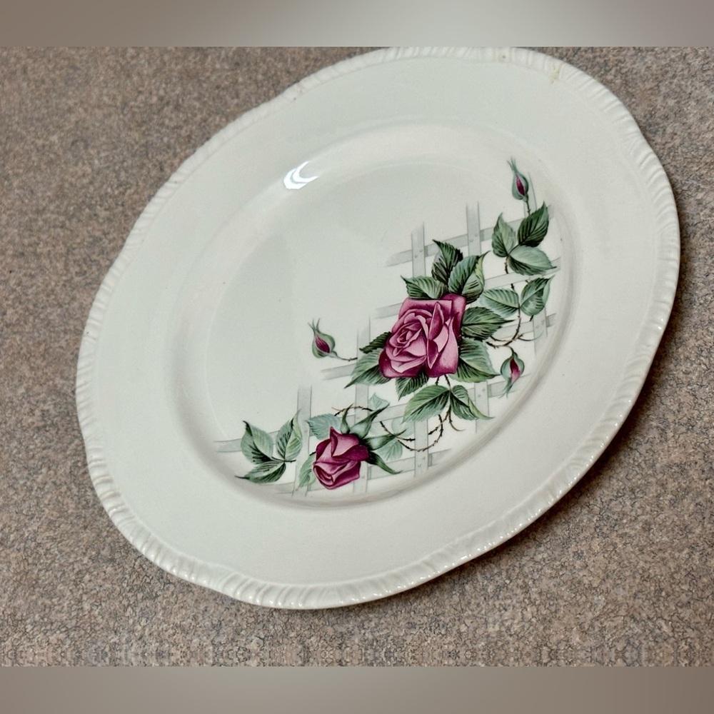 Homer Laughlin Rose Dinner Plate - Vintage Floral Style / Collectible China